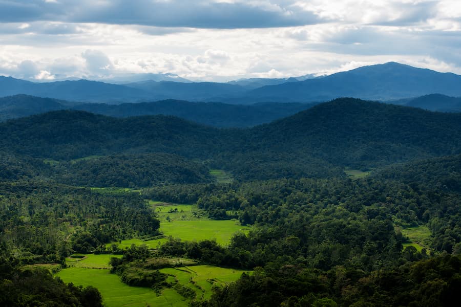 Bangalore Coorg Tour Package from Bangalore for 4 Days Bangalore Coorg tour from Bangalore for 4 days by private cab covering Bangalore sightseeing and Coorg sightseeing