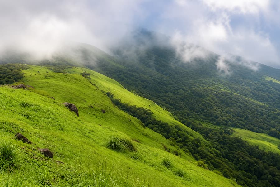 Bangalore Mysore Coorg Tour Package from Bangalore for 5 Days Bangalore Mysore Coorg tour package from Bangalore by private cab covering Bangalore sightseeing, Mysore, Srirangapatna and Coorg