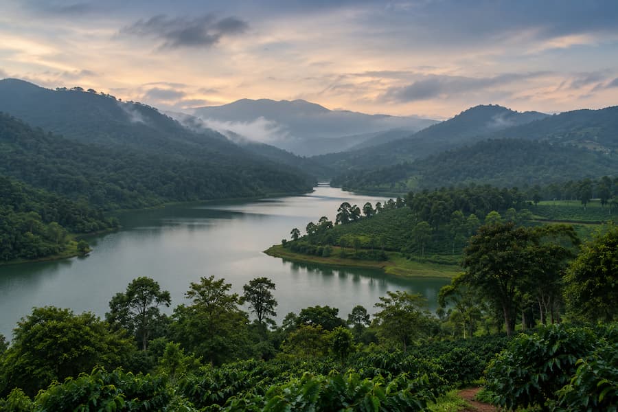 Coorg Chikmagalur Tour from Bangalore – 5 Days Coorg Chikmagalur tour from Bangalore by private cab covering coffee estates, waterfalls, Mullayanagiri, Belur and Halebeedu