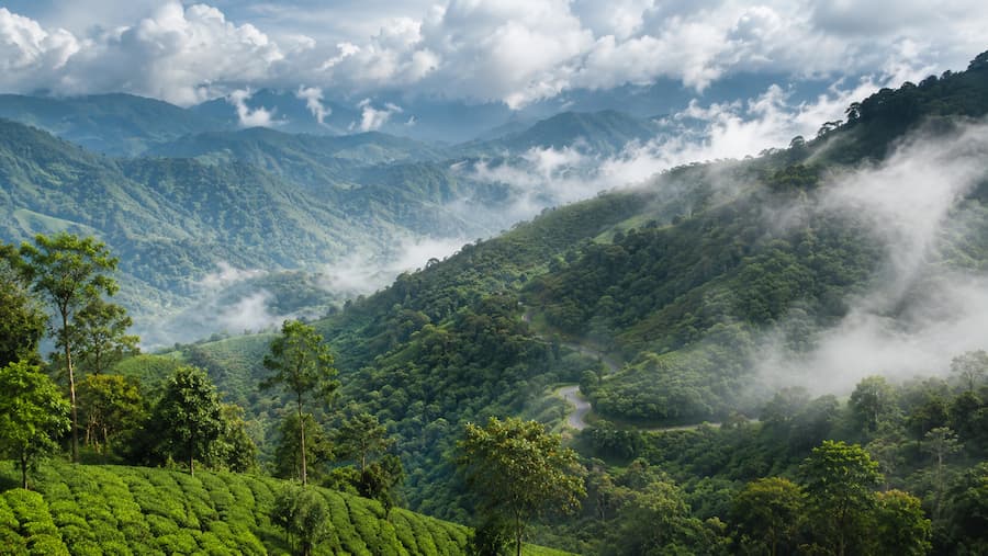 Coorg Wayanad Tour Package from Bangalore for 5 Days Coorg Wayanad tour package from Bangalore by private cab covering Coorg first followed by Wayanad