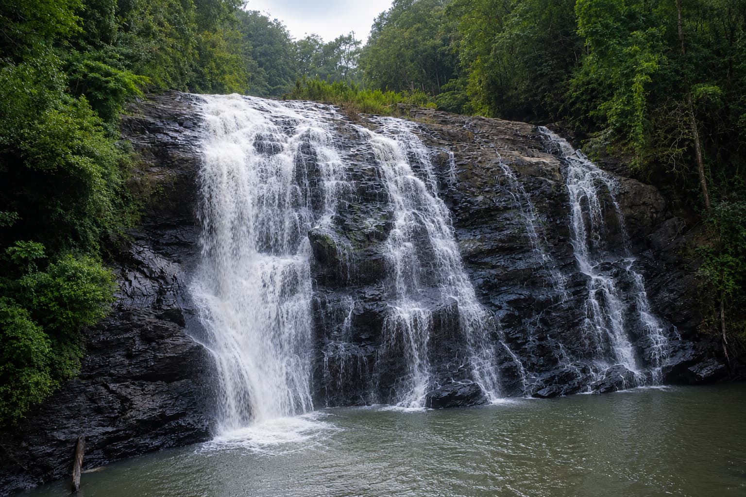 Mysore Coorg Tour Package from Bangalore for 4 Days Mysore Coorg tour package from Bangalore by private cab covering Mysore, Srirangapatna and Coorg
