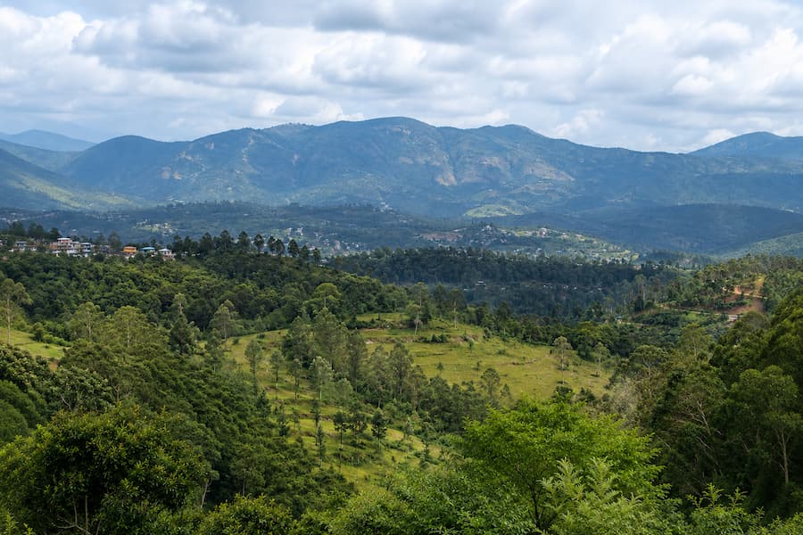 Mysore Ooty Coorg Tour from Bangalore for 6 Days Mysore Ooty Coorg tour from Bangalore by private cab covering Mysore, Ooty, Coonoor and Coorg