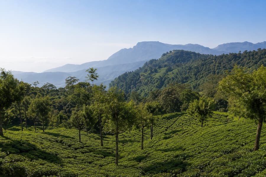 Mysore Ooty Kodaikanal tour package from Bangalore by private cab covering Mysore, Ooty, Coonoor and Kodaikanal