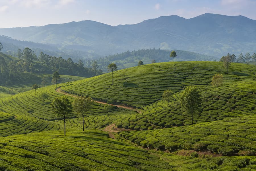 Mysore Ooty tour from Bangalore for 4 days by private cab covering Mysore, Srirangapatna, Ooty and Coonoor