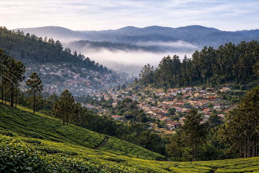 Ooty tour package from Bangalore for 3 days with tea gardens and hill views
