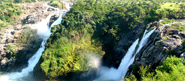 Shivanasamudra Falls