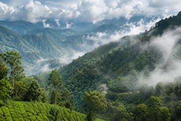 Coorg Wayanad Tour Package from Bangalore – 5 days