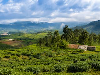 Mysore Coorg Ooty Tour Package from Bangalore – 7 Days