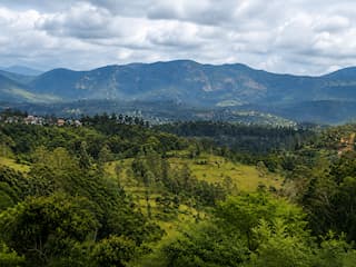 Mysore Ooty Coorg Tour Package from Bangalore – 6 Days