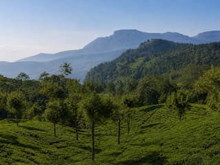 Mysore Ooty Kodaikanal Tour Package from Bangalore
