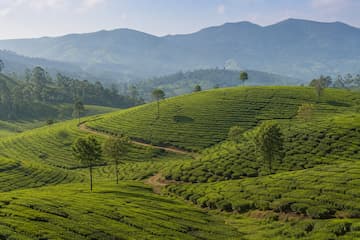 Mysore Ooty Tour Package from Bangalore