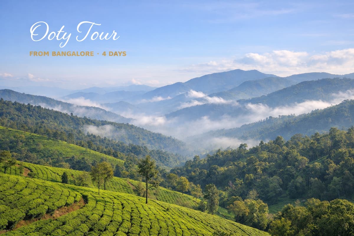 Ooty tour from Bangalore for 4 days featuring misty Nilgiri hills and lush tea plantations