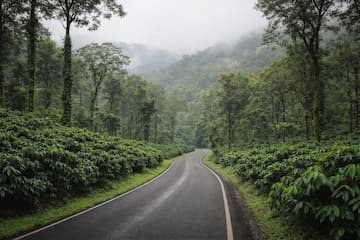 Mysore to Coorg One Day Sightseeing by Cab – From Mysore