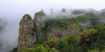 Bangalore Coorg Mysore Ooty Kodaikanal Package