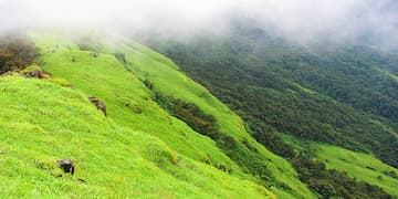 Bangalore Mysore Coorg Tour Package from Bangalore