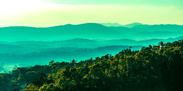 Coorg Mysore Ooty Kodaikanal Tour from Bangalore