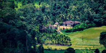 Coorg Tour from Bangalore for 3 Days