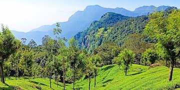 Mysore Ooty Kodaikanal Package from Bangalore Mysore Ooty Kodaikanal Package from Bangalore