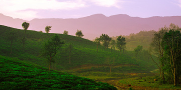 Wayanad Tour from Bangalore for 3 Days