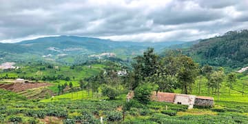 Mysore Coorg Ooty Tour Package from Mysore