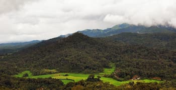 Mysore Coorg Package Tour from Mysore for 4 Days
