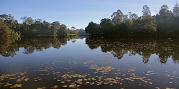 Mysore Ooty Kodaikanal Tour from Mysore