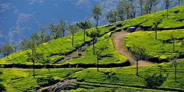 Mysore Ooty Tour from Mysore - 3 Days