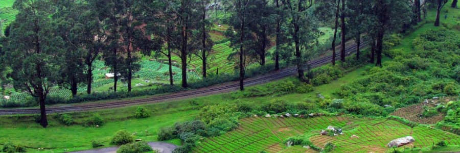 Mysore to Ooty Tour Packages